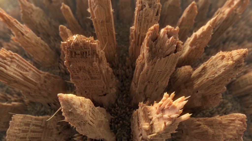 PX GroupによるThe wooden metropolis project